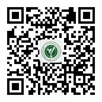 乐球吧