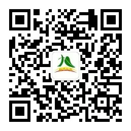 乐球吧