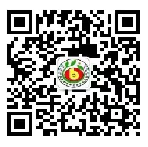乐球吧