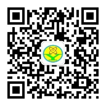 乐球吧