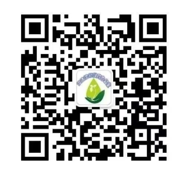 乐球吧