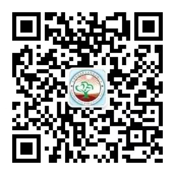 乐球吧