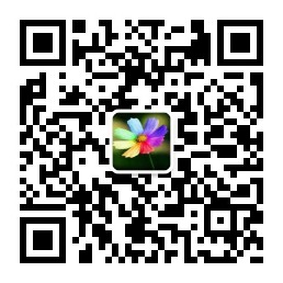 乐球吧