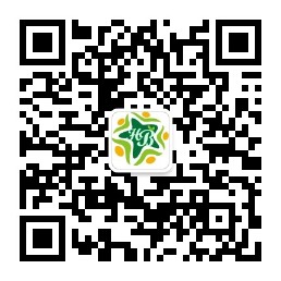 乐球吧