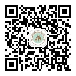 乐球吧