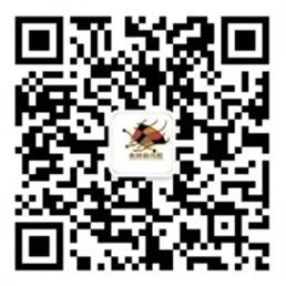 乐球吧