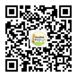 乐球吧