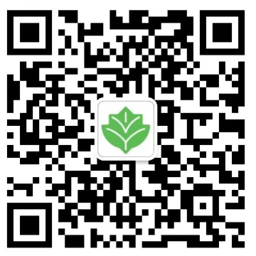 乐球吧