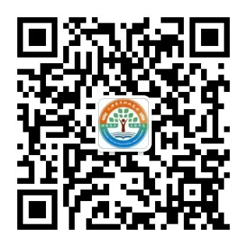 乐球吧