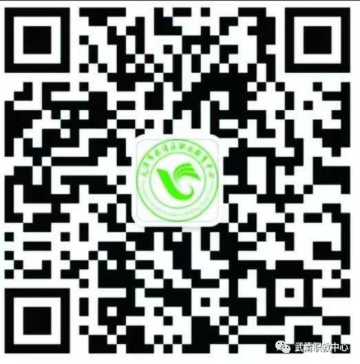 乐球吧