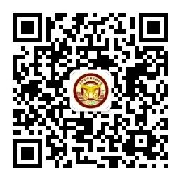 乐球吧