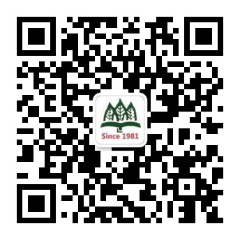 乐球吧